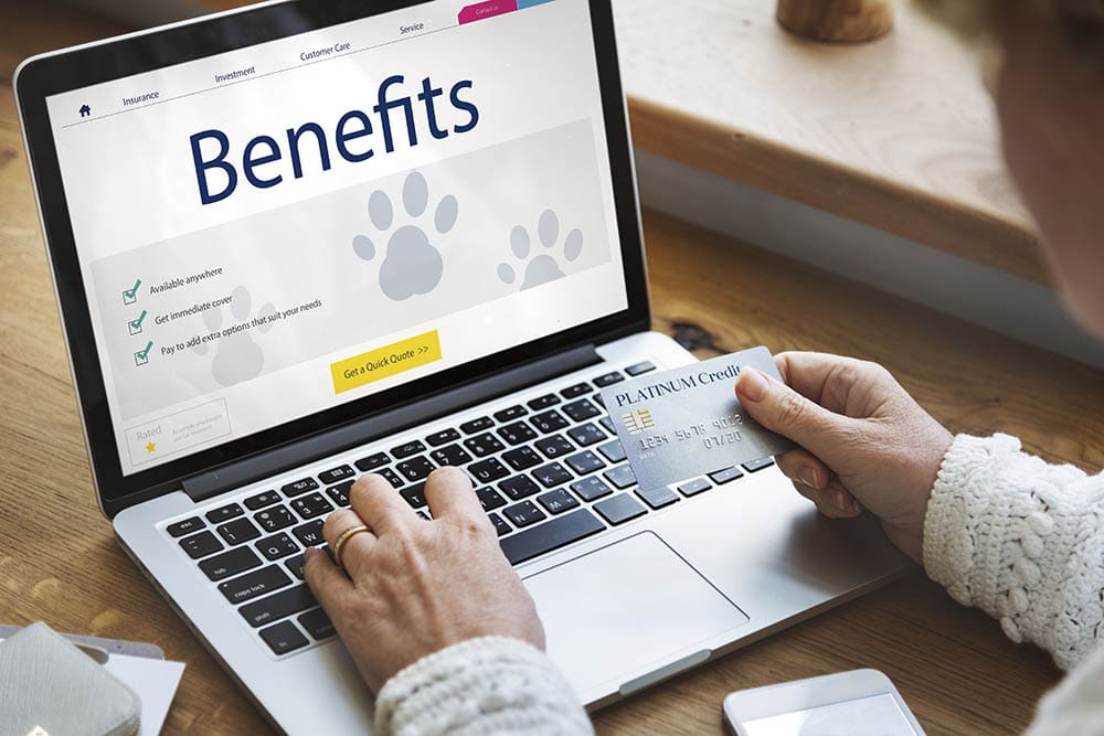 Pet-Insurance-Protection-Compensation-Concept_Rawpixel