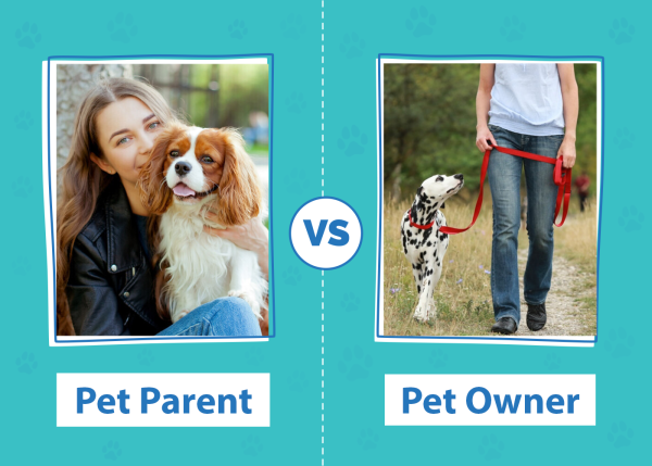 Pet Parent Vs Pet Owner Side By Side_
