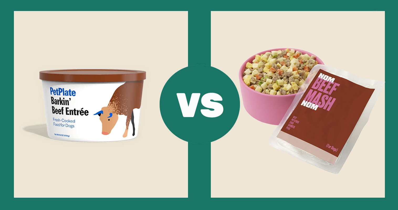 Pet-Plate-Barkin-Beef-vs.-Nom-Nom-Beef-Mash