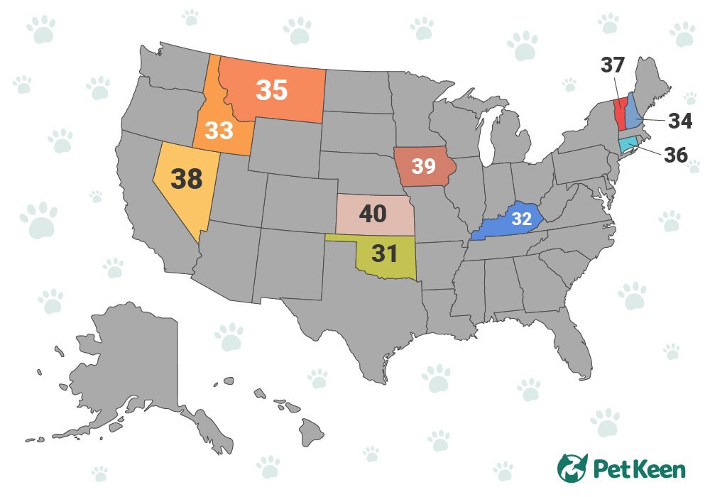states ranked 31- 40