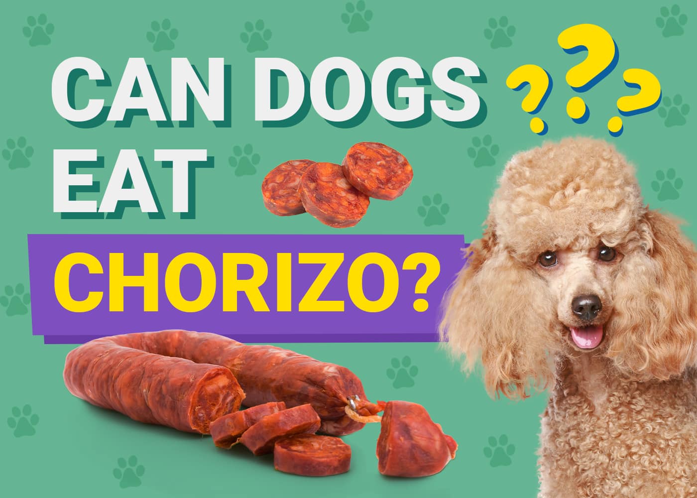 Can Dogs Eat_chorizo