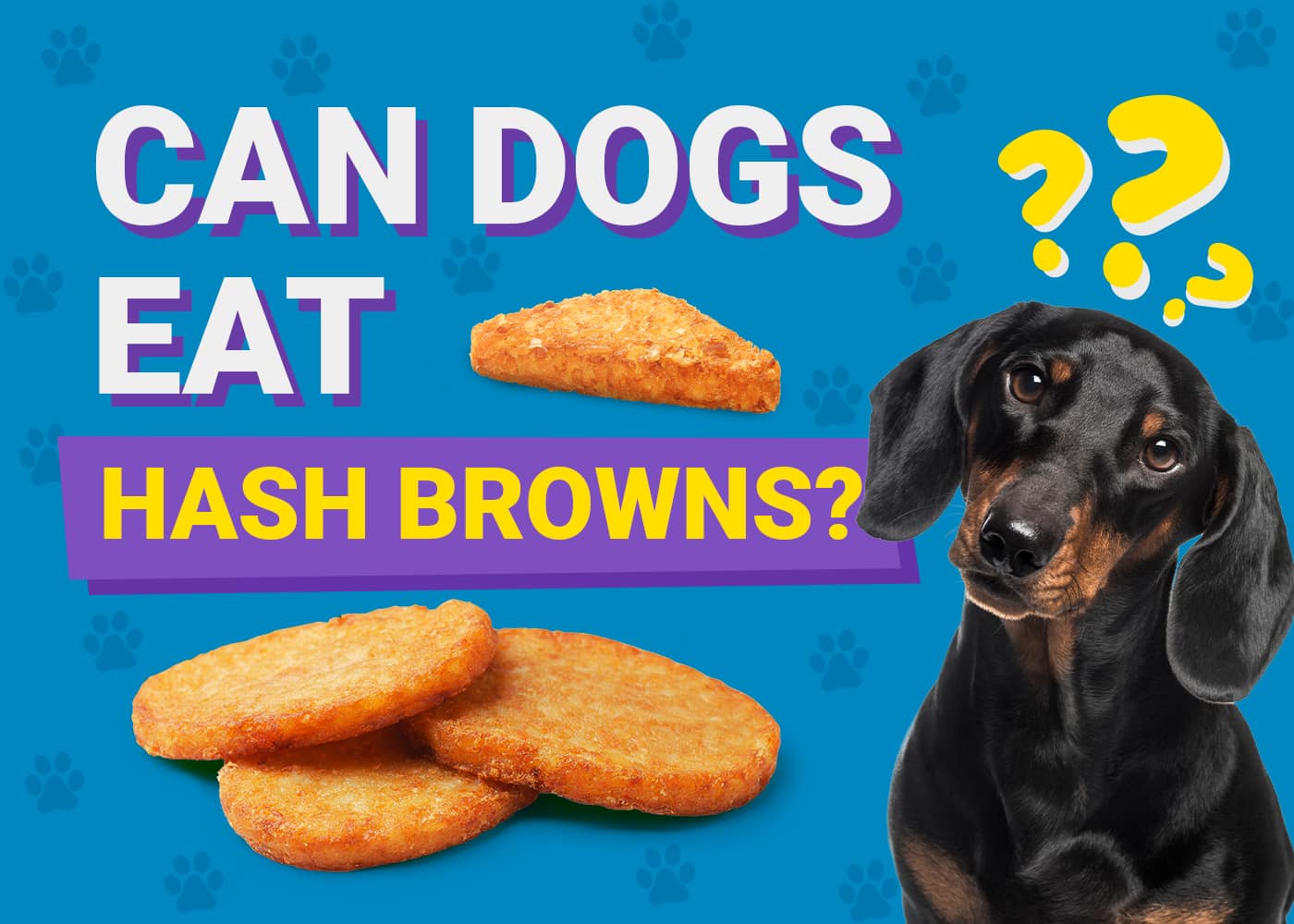 Can Dogs Eat Hash Browns? Vet Reviewed Facts – Dogster