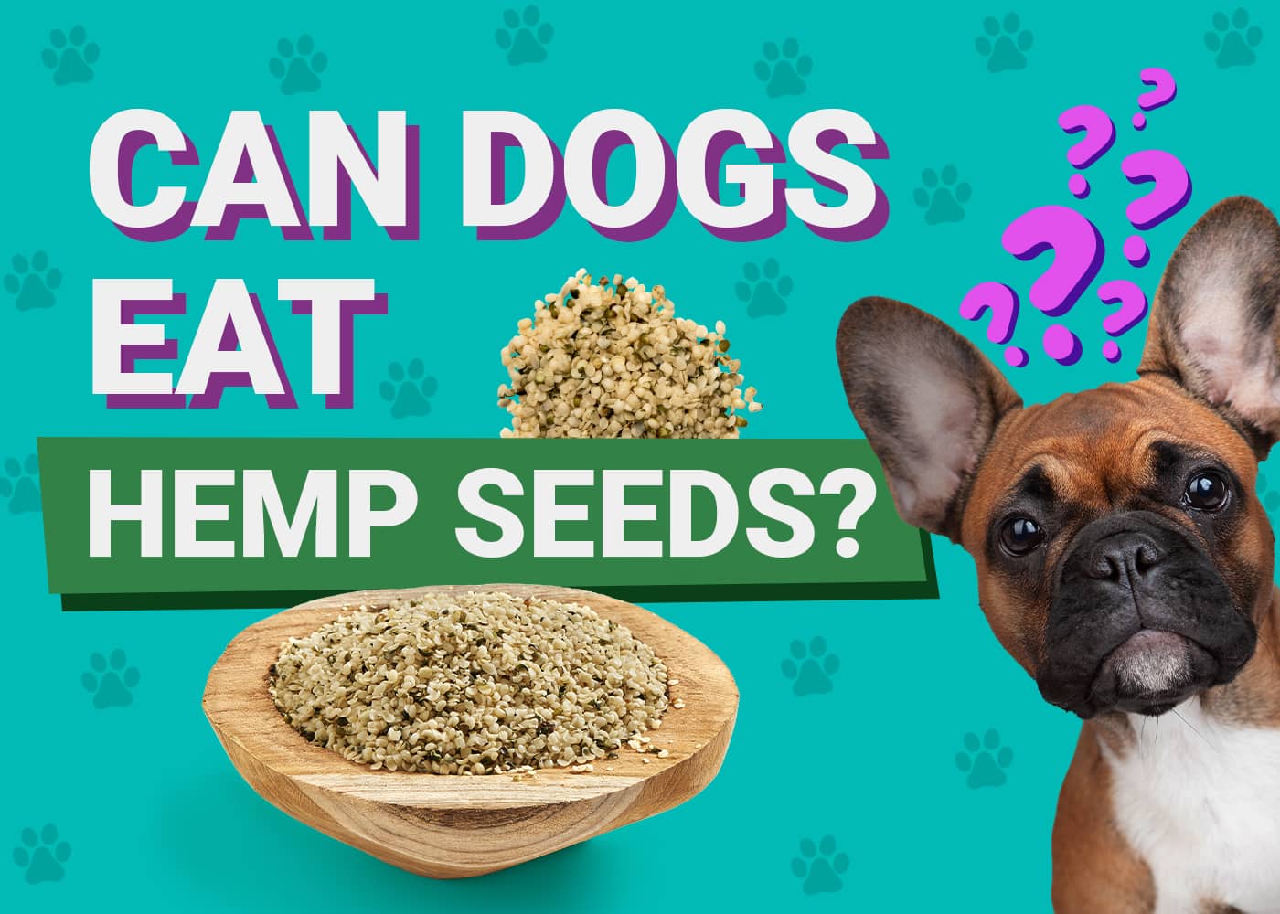 Can Dogs Eat Hemp Seeds? VetVerified Facts & FAQ Dogster