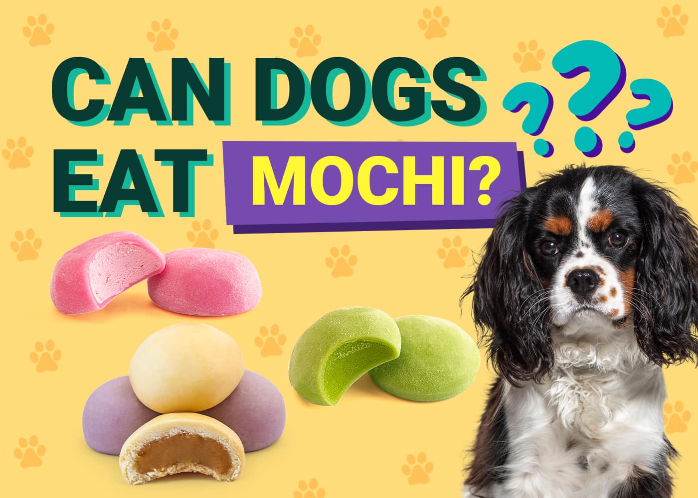 Can Dogs Eat_mochi