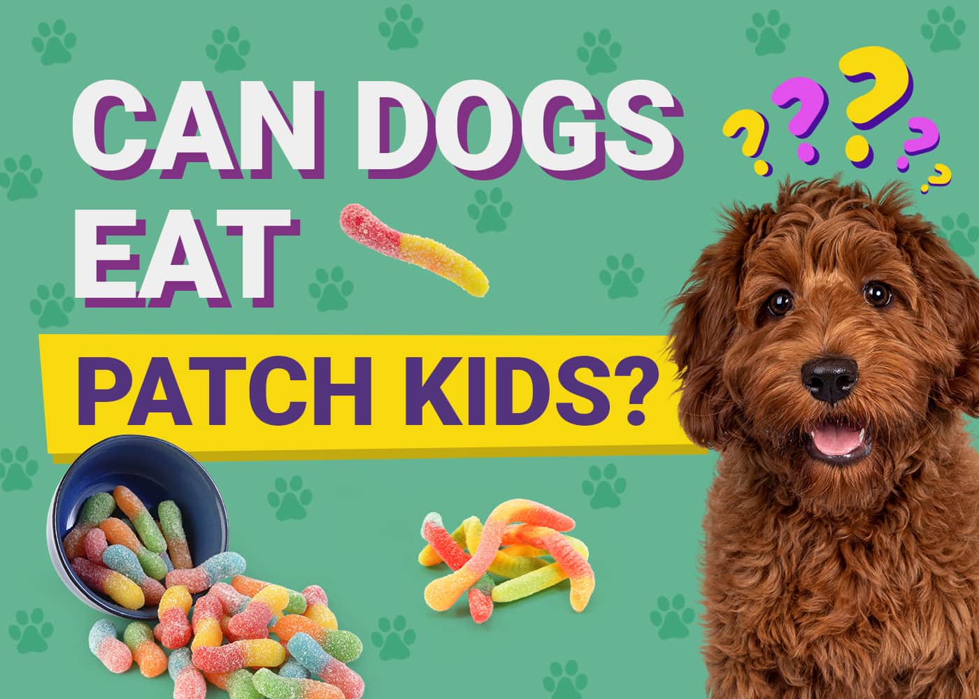Can Dogs Eat_patch kids