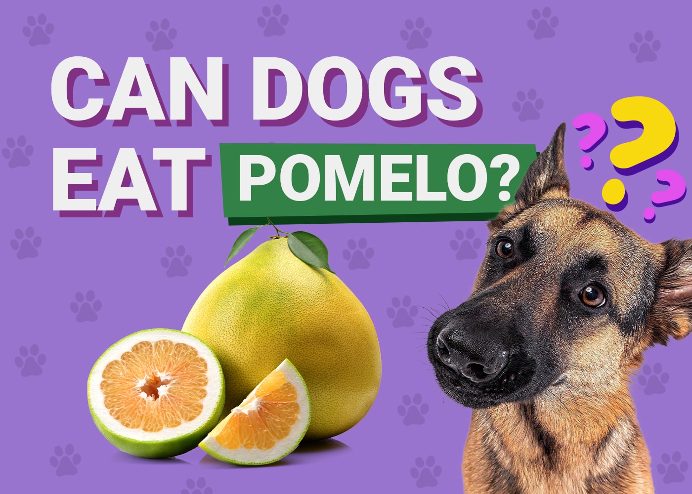 Can Dogs Eat_pomelo
