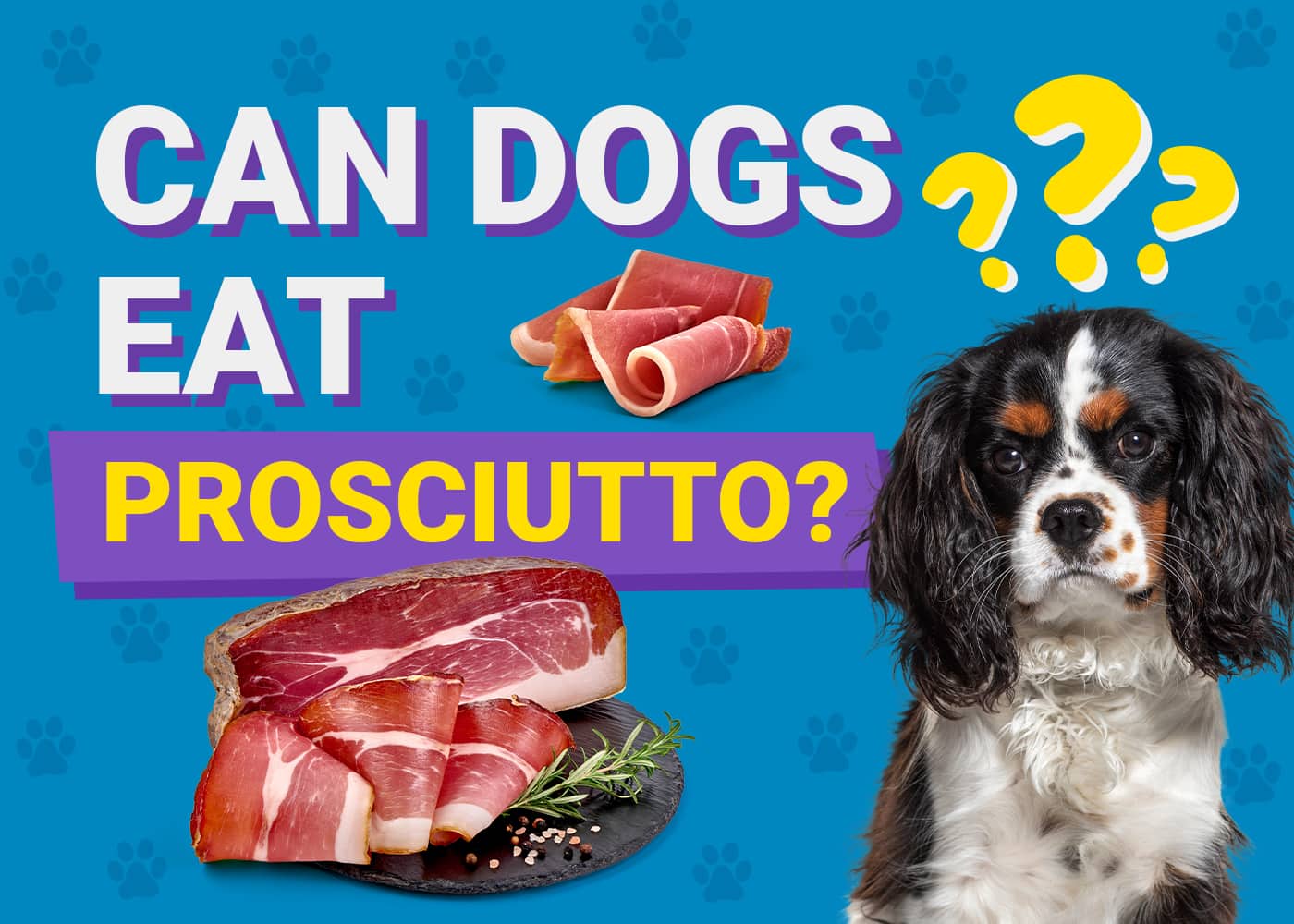 Can Dogs Eat_prosciutto