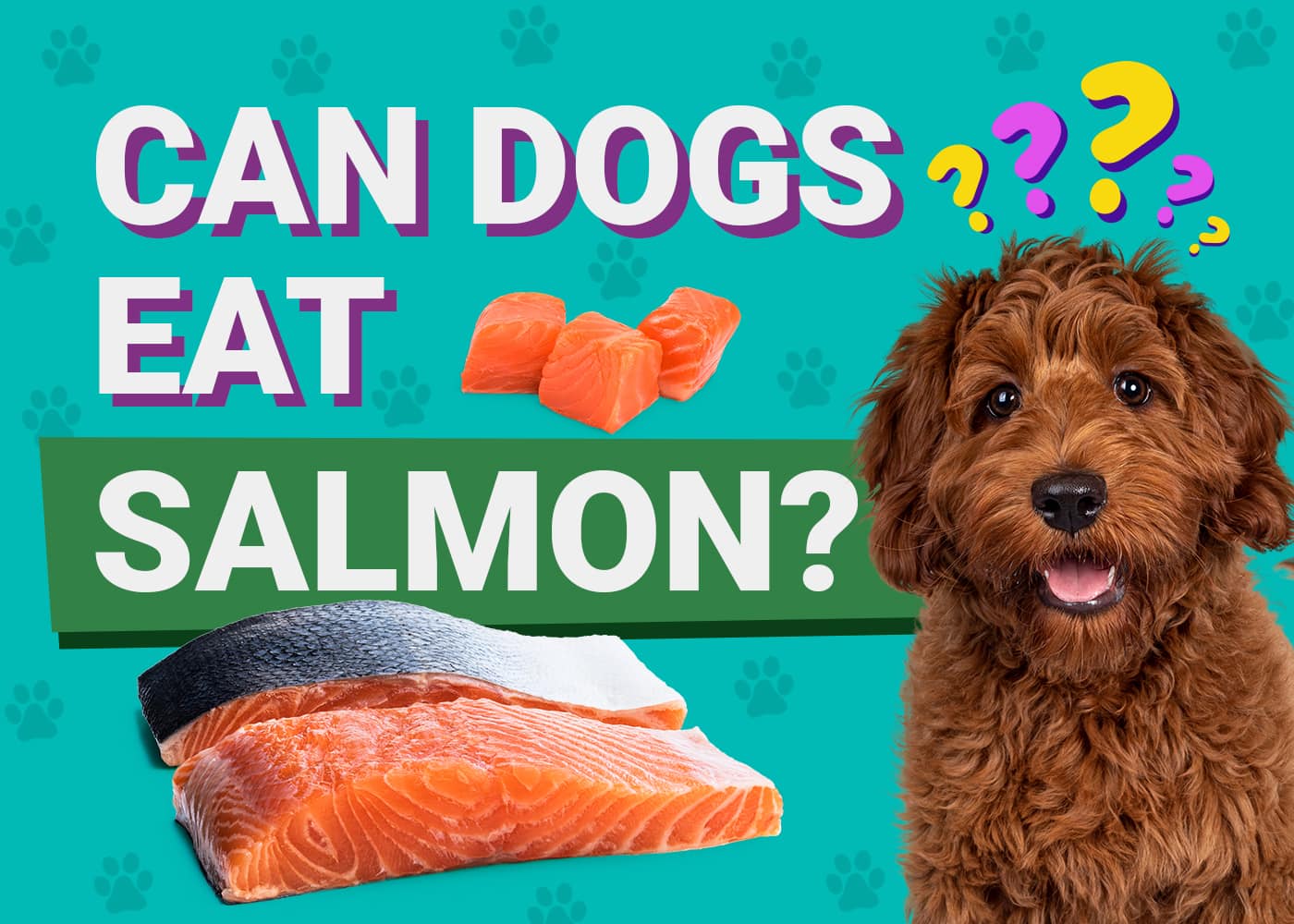 Can Dogs Eat_salmon