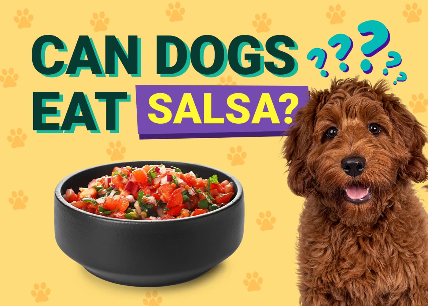 Can Dogs Eat Salsa