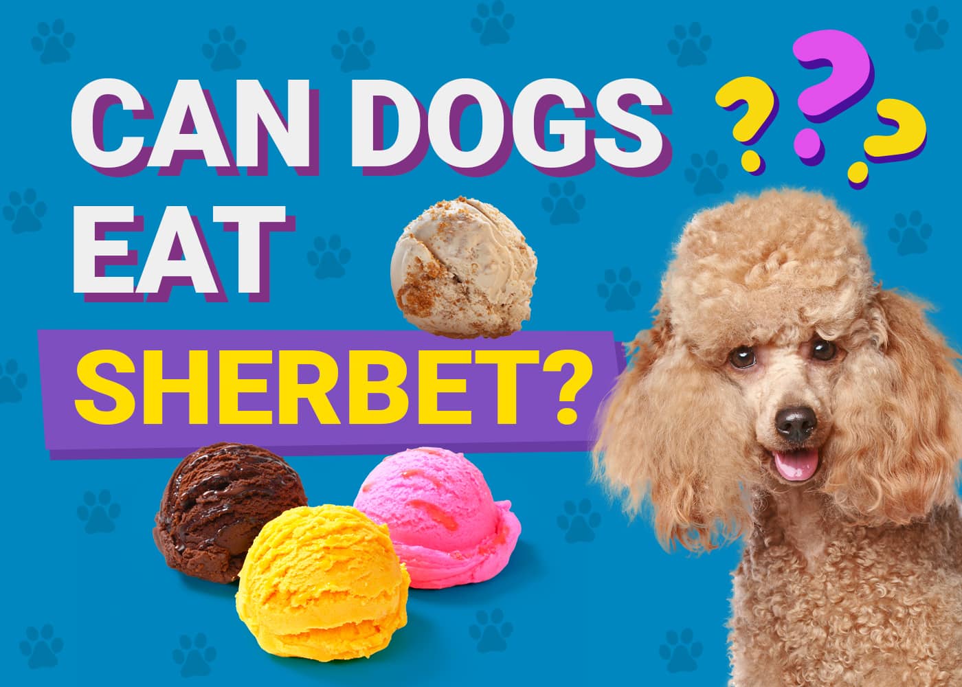 Can Dogs Eat Sherbet