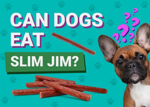 Can Dogs Eat_slim jim