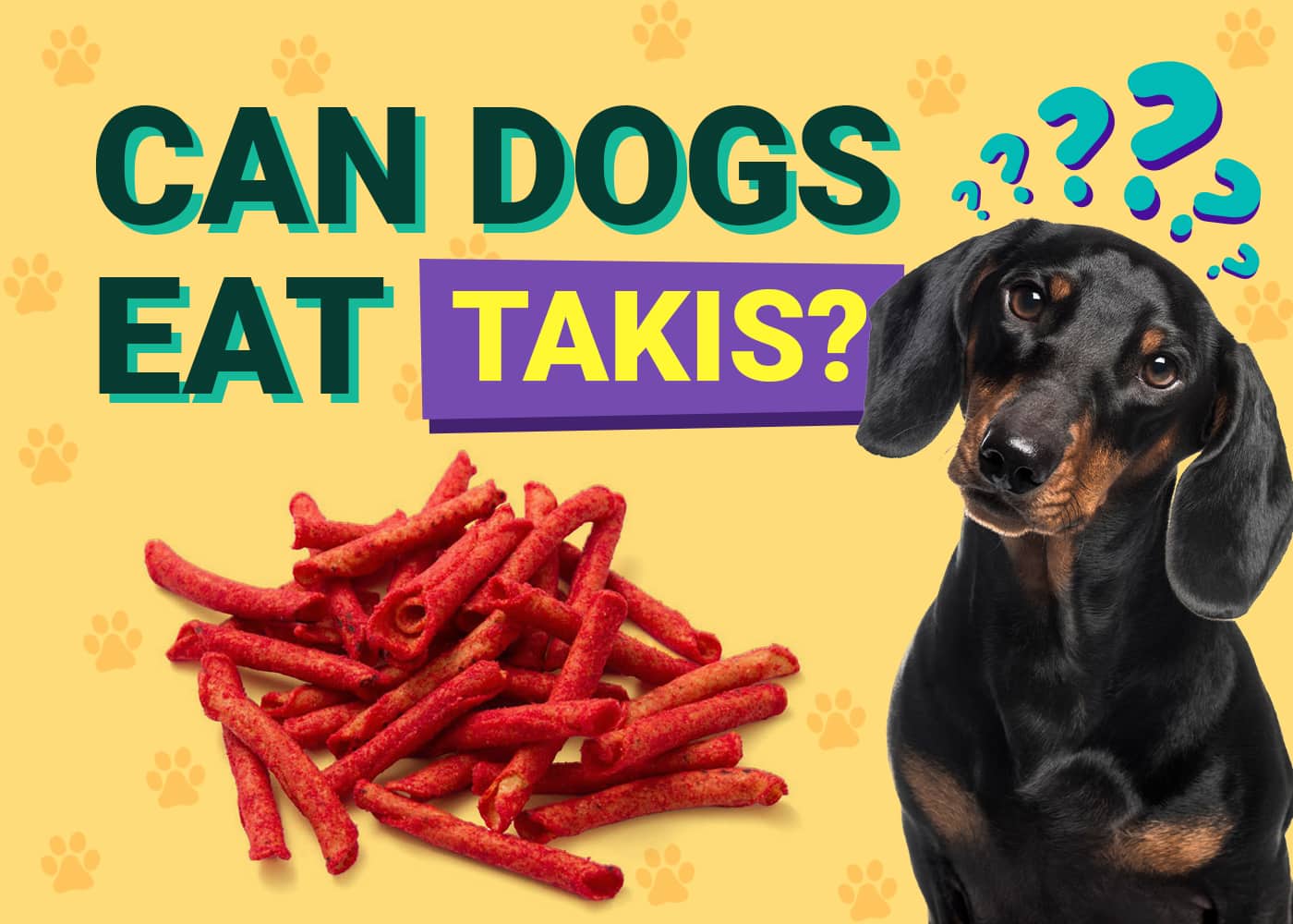 Can Dogs Eat_takis