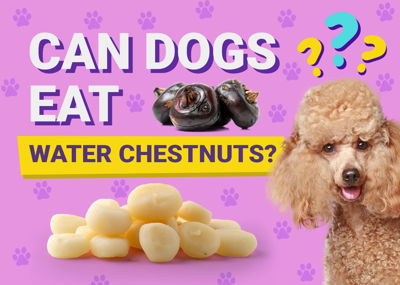 Can Dogs Eat_water chestnuts