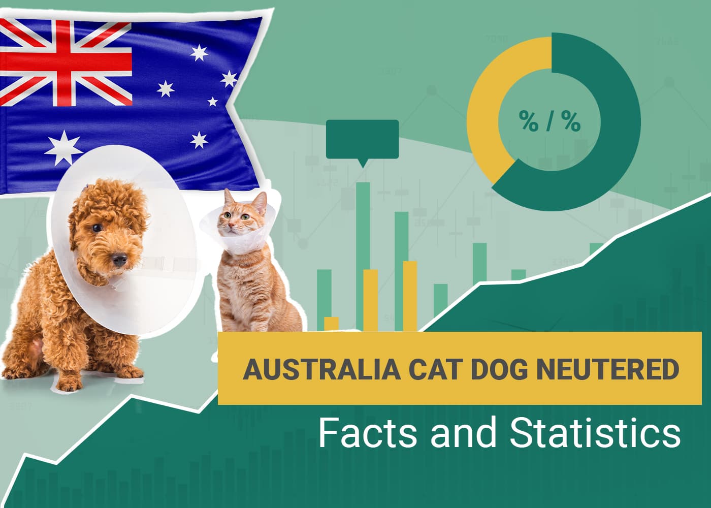 How Many Dogs & Cats Are Neutered in Australia? 16 Statistics in 2024