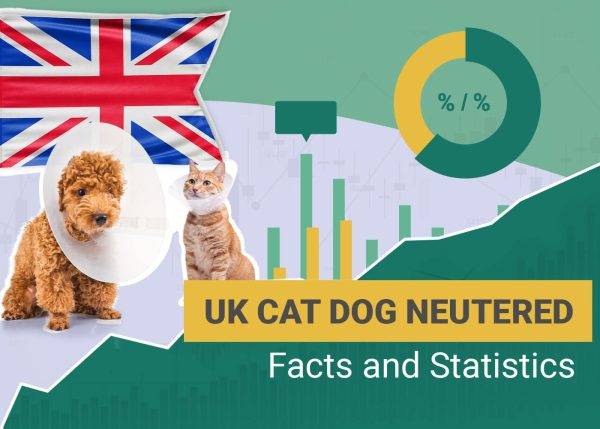 UK Cat Dog Neutered Facts and Statistics