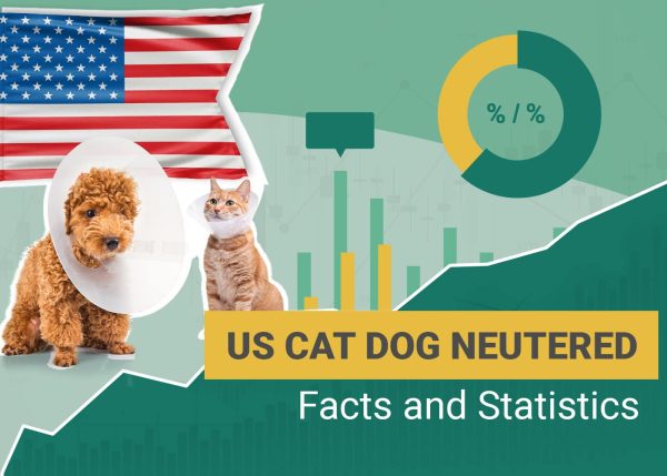 us cat dog neutered