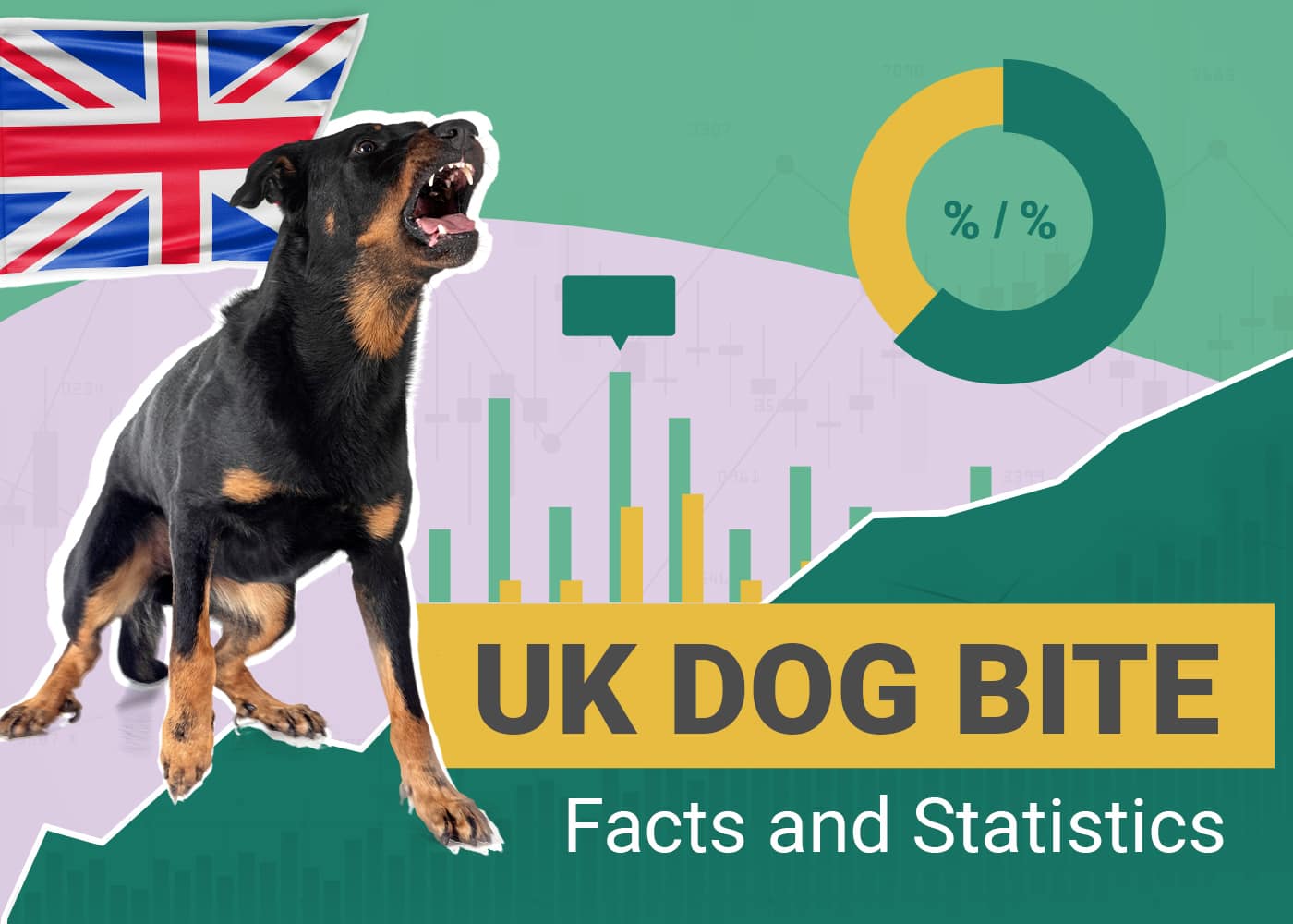Dog Bite Statistics UK