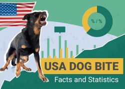 15 Dog Bite Statistics In 2026 Breeds Incidences Deaths Dogster