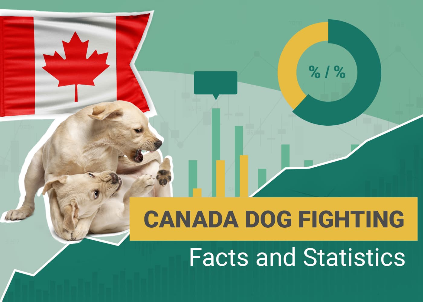 Canada Dog Fighting Facts and Statistics