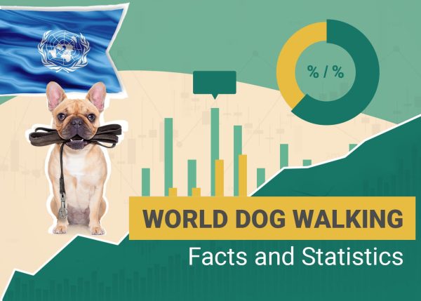 Dog Walking Statistics World