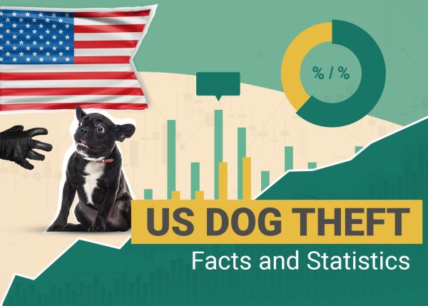 Dognapping & Dog Theft Statistics