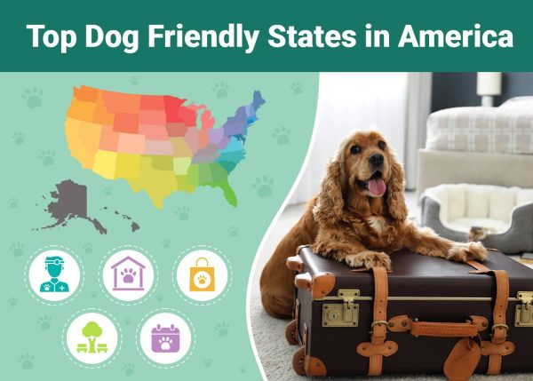 PetKeen_Friendliest US States Custom featured image_v1-3_Jul 21