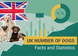 How Many Dogs are There in the UK? 2025 Statistics & Facts – Dogster