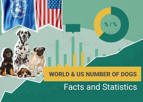 World & US Number of Dogs Facts and Statistics