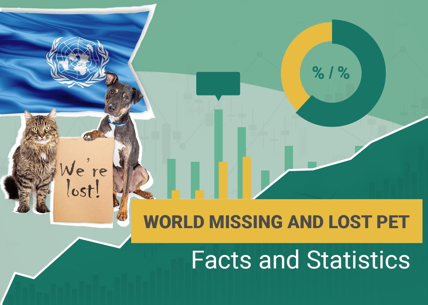 Missing and Lost Pet Statistics World