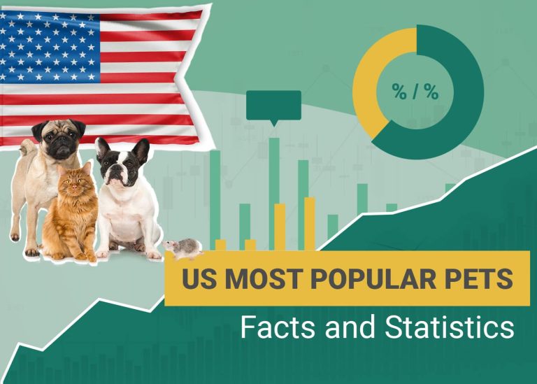 25 Most Popular Pets Statistics in the US Updated in 2024 Dogster