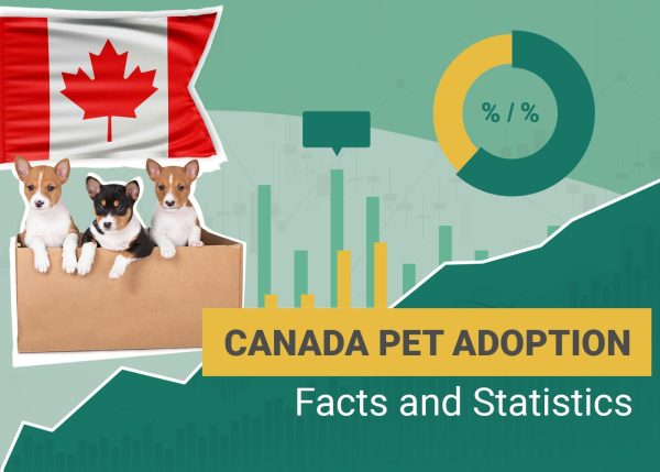 Canada Pet Adoption Facts and Statistics