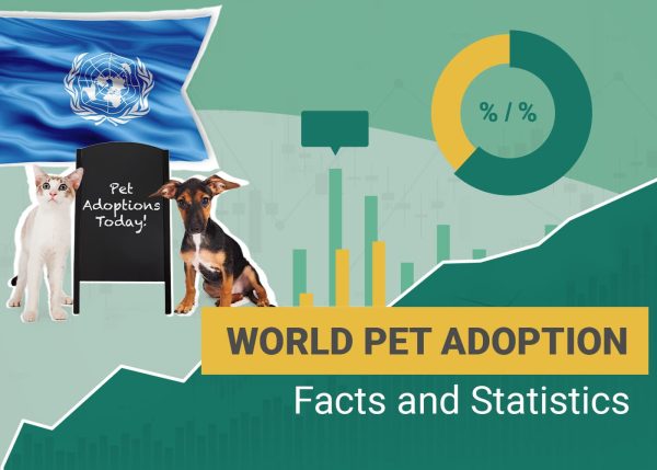 World Pet Adoption Facts and Statistics