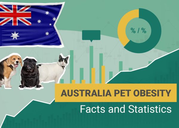 Pet Obesity Statistics Australia