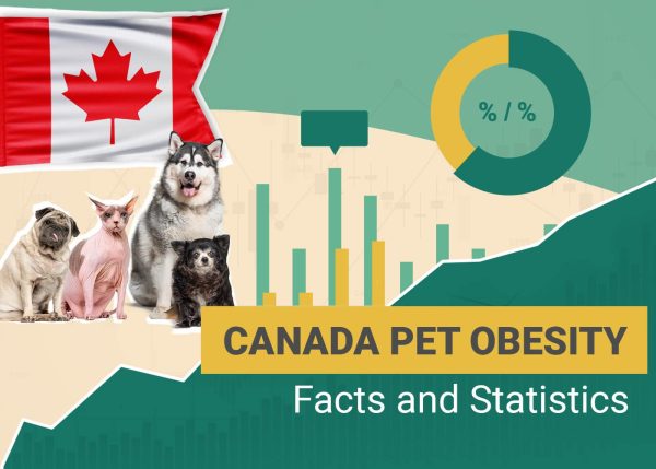 Pet Obesity Statistics Canada
