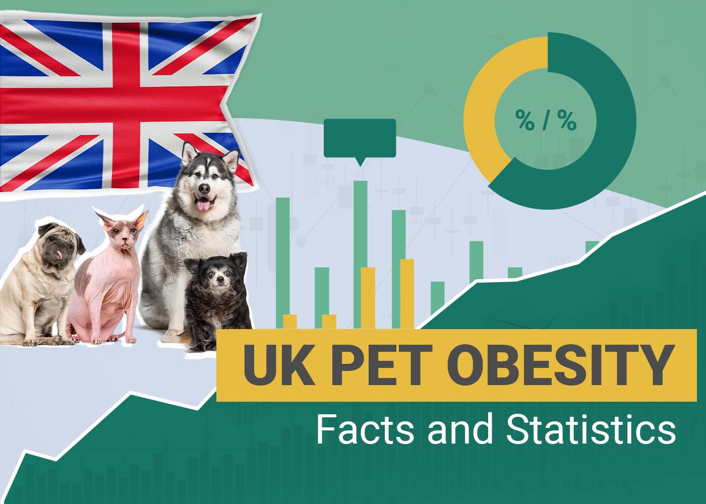 Pet Obesity Statistics UK