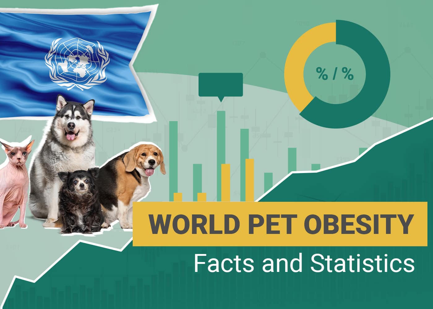Pet Obesity Statistics World