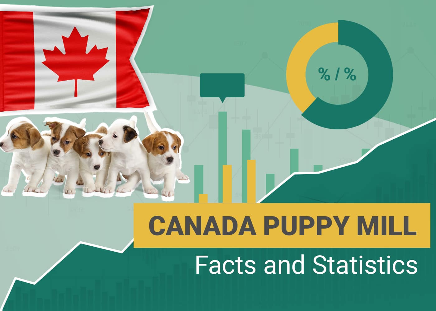 Canada Puppy Mill Facts and Statistics
