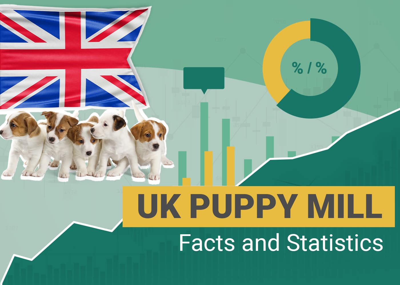 UK Puppy Mill Facts and Statistics