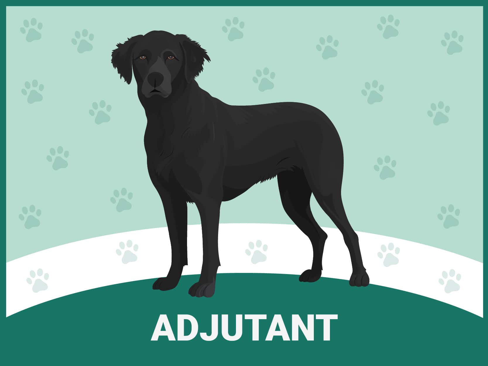 Adjutant