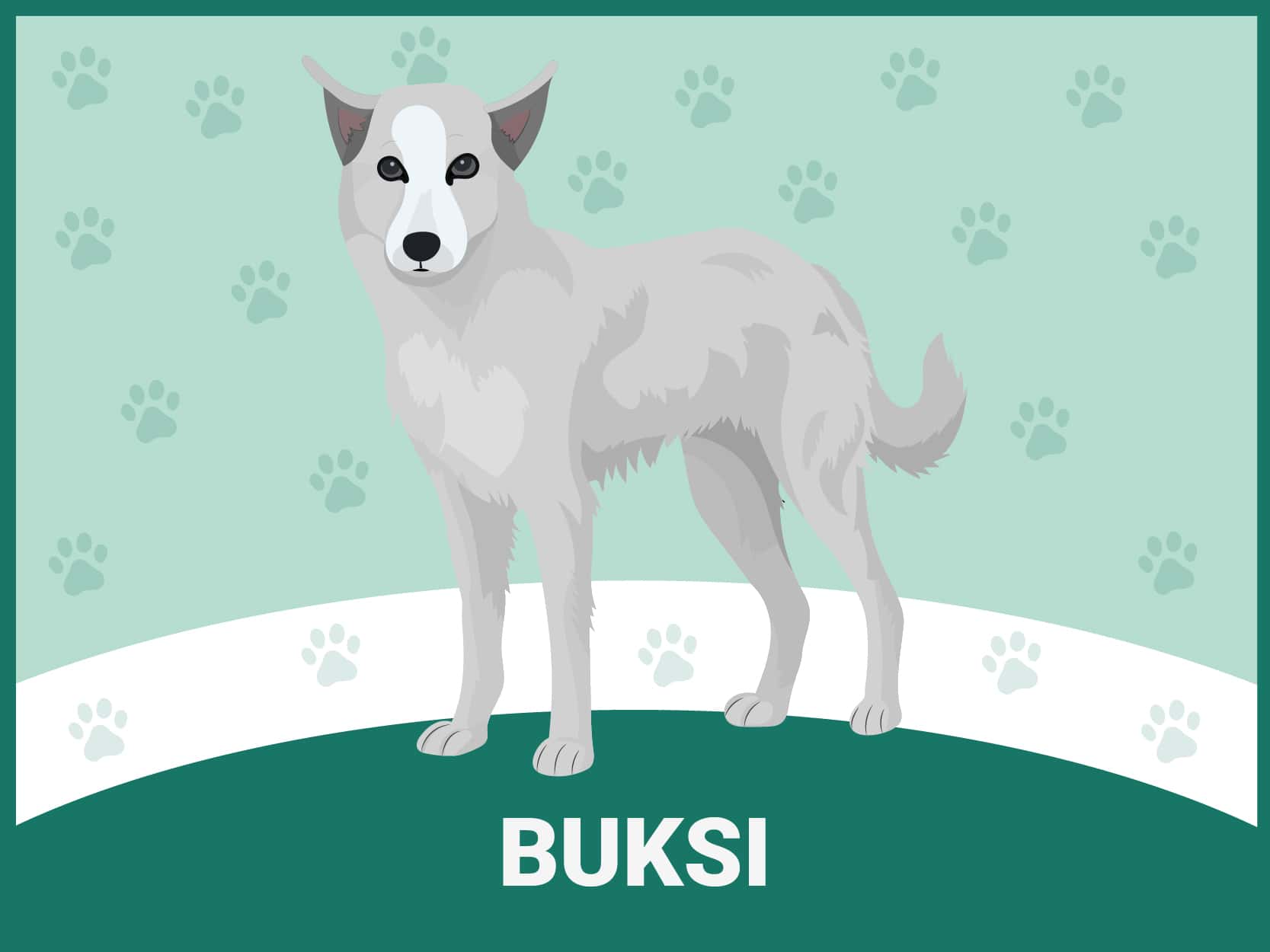 Buksi