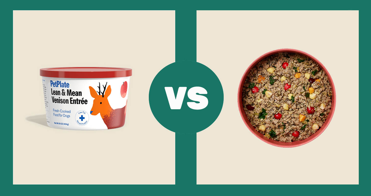 PetPlate Lean & Mean Venison Recipe vs Ollie Fresh Lamb