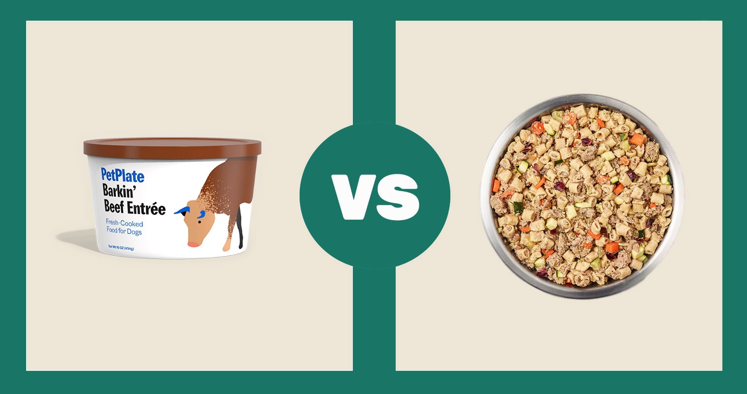 PetPlate vs Just for Dogs
