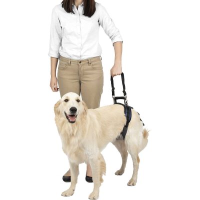 PetSafe CareLift Support Harness