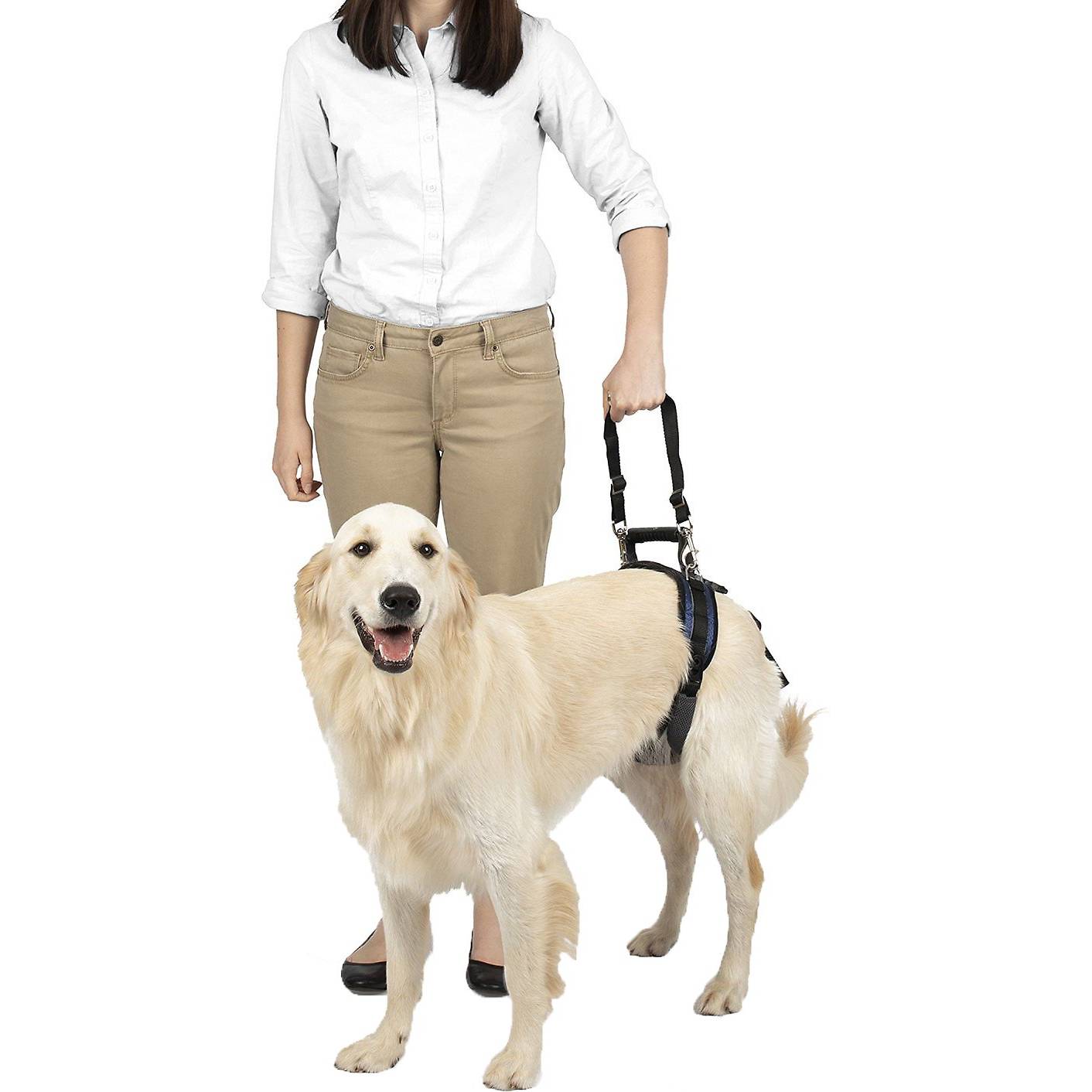 PetSafe-CareLift-Rear-Handicapped-Support-Harness-1