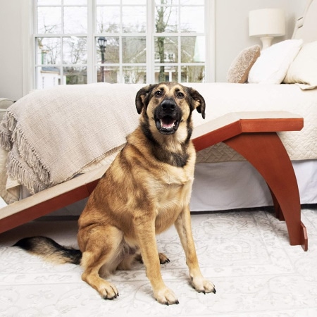 PetSafe CozyUp Wooden Cat & Dog Ramp