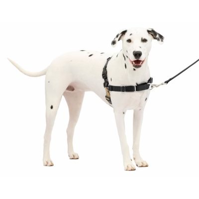 PetSafe Easy Walk Dog Harness