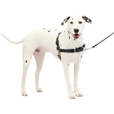 PetSafe Easy Walk Dog Harness