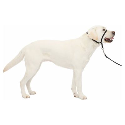 PetSafe Gentle Leader Headcollar