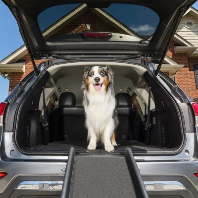 PetSafe Foldable Dog Car Ramp