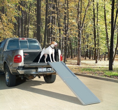 PetSafe Happy Ride Telescoping Dog Car Ramp